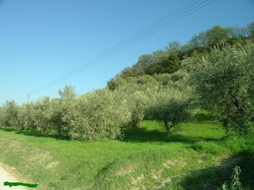 Villa i Campofilone, Fermo - foto 2