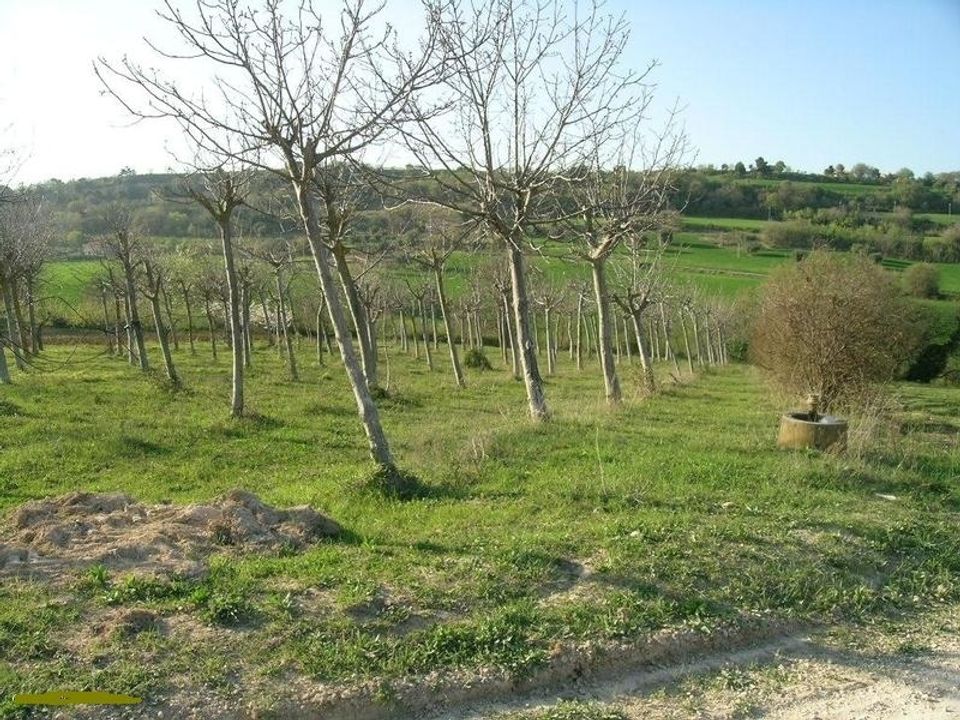 Villa i Campofilone, Fermo - foto 3
