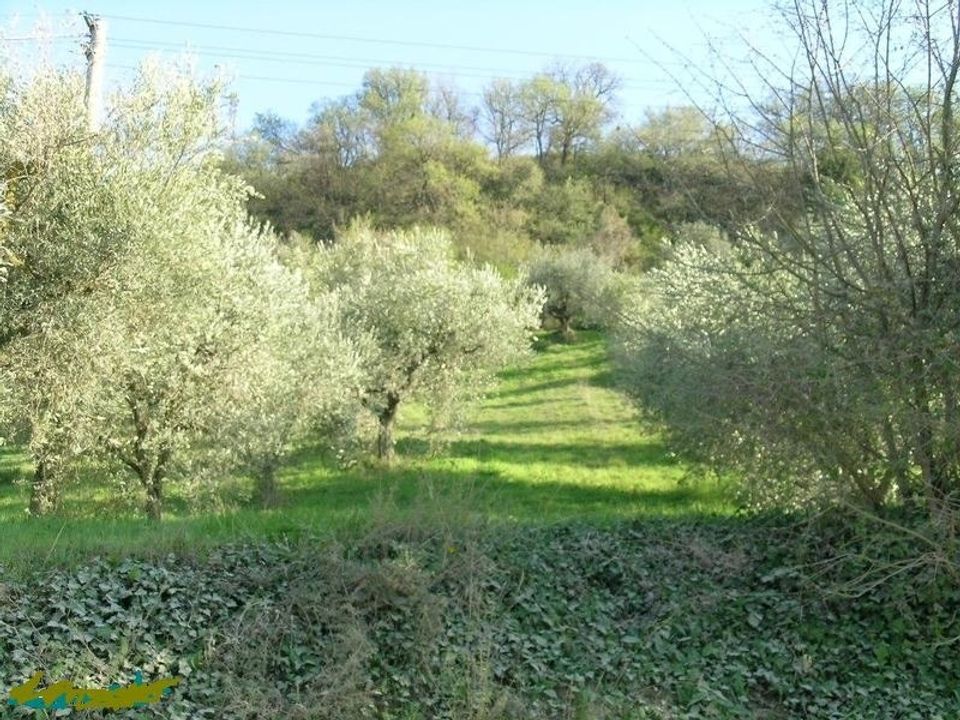 Villa i Campofilone, Fermo - foto 4
