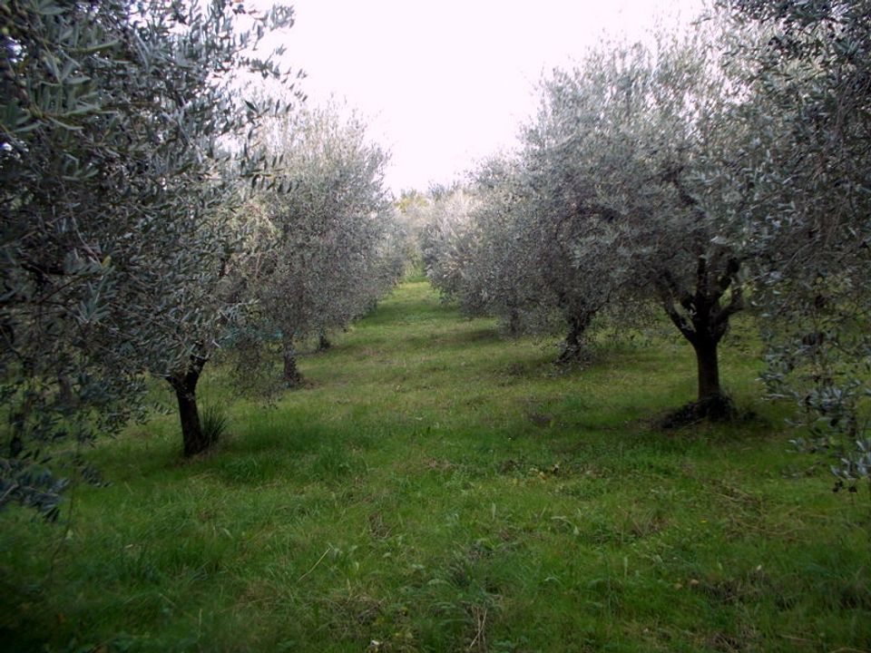 Erhvervsejendom i Ascoli Piceno, Ascoli Piceno - foto 1
