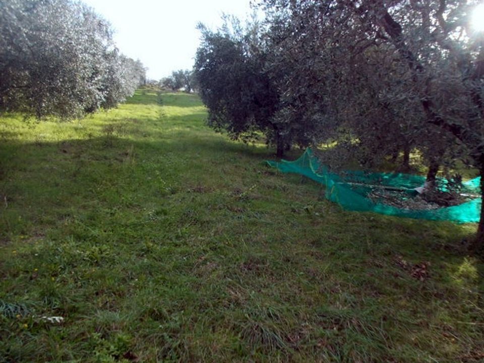 Erhvervsejendom i Ascoli Piceno, Ascoli Piceno - foto 2