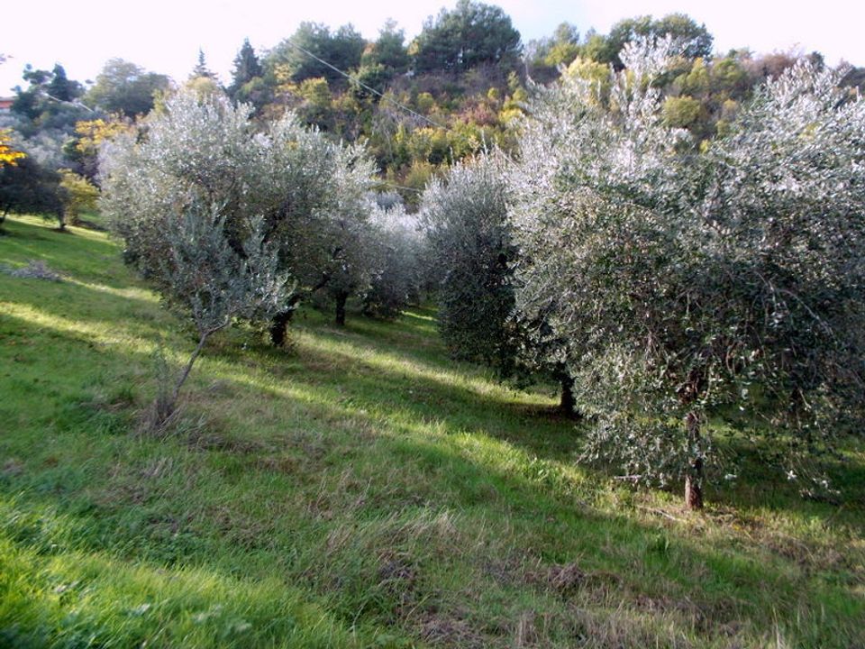 Erhvervsejendom i Ascoli Piceno, Ascoli Piceno - foto 3
