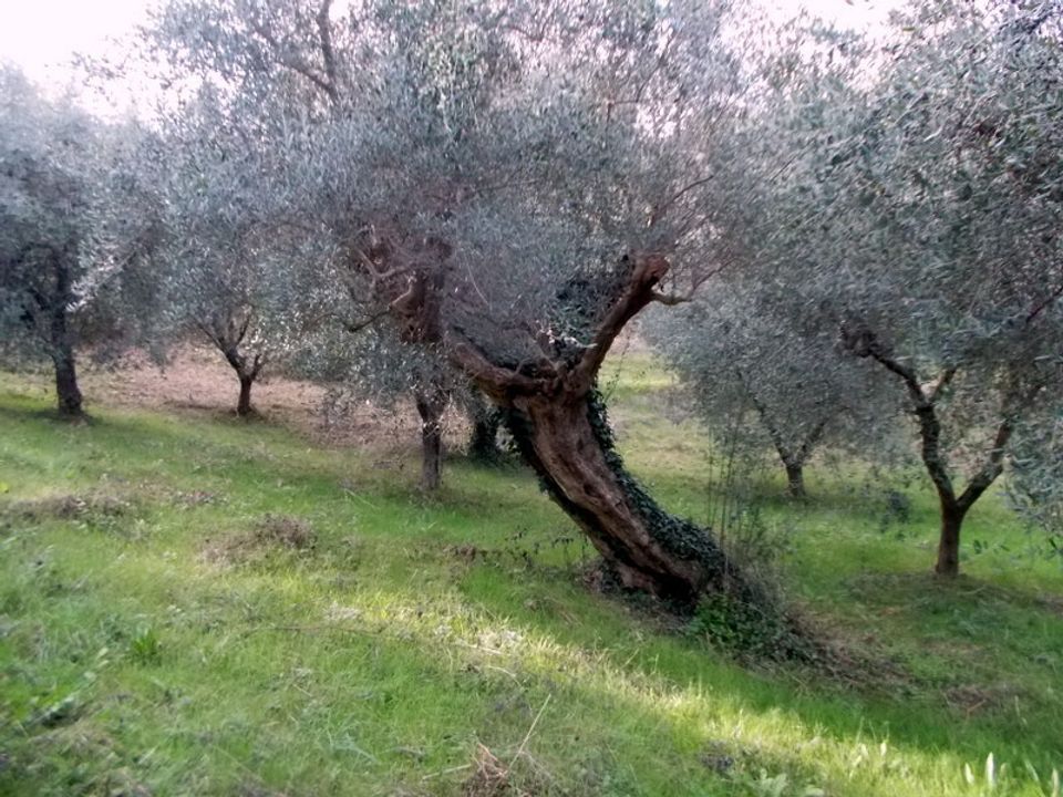 Erhvervsejendom i Ascoli Piceno, Ascoli Piceno - foto 4