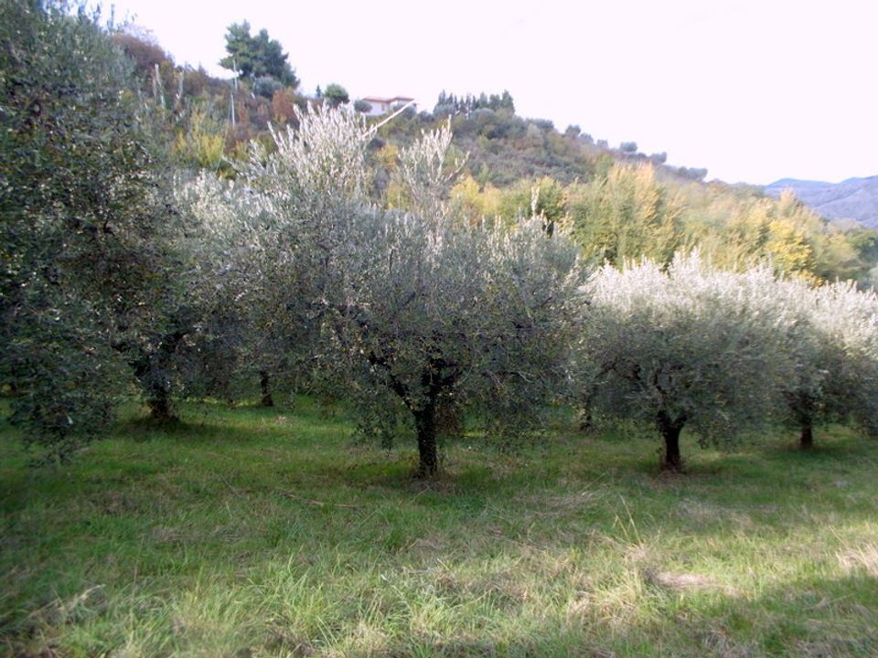 Erhvervsejendom i Ascoli Piceno, Ascoli Piceno - foto 5