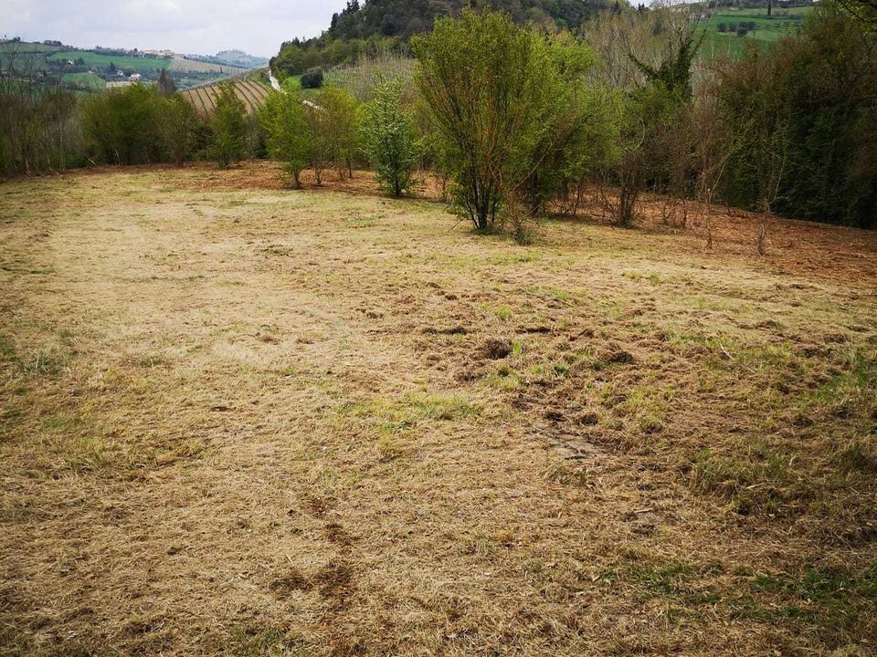 Erhvervsejendom i Monsampolo del Tronto, Ascoli Piceno - foto 2