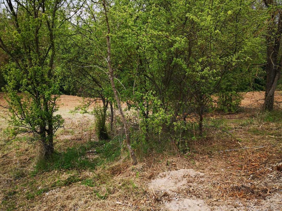 Erhvervsejendom i Monsampolo del Tronto, Ascoli Piceno - foto 3