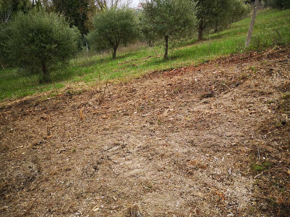 Erhvervsejendom i Monsampolo del Tronto, Ascoli Piceno - foto 4