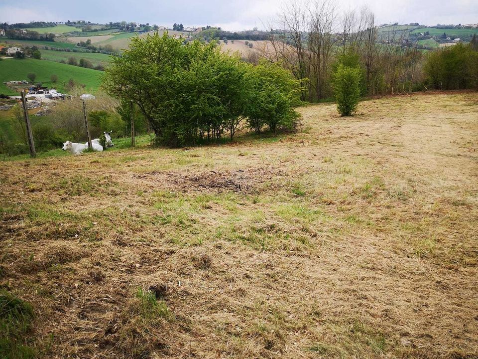 Erhvervsejendom i Monsampolo del Tronto, Ascoli Piceno - foto 5