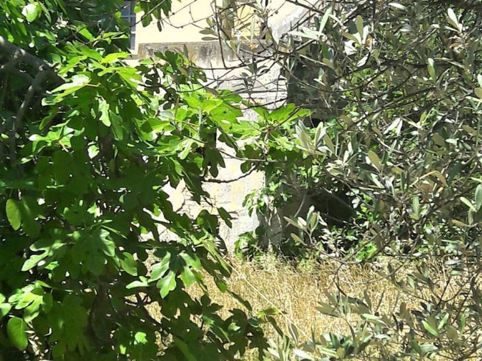 Villa i Colonnella, Teramo - foto 4