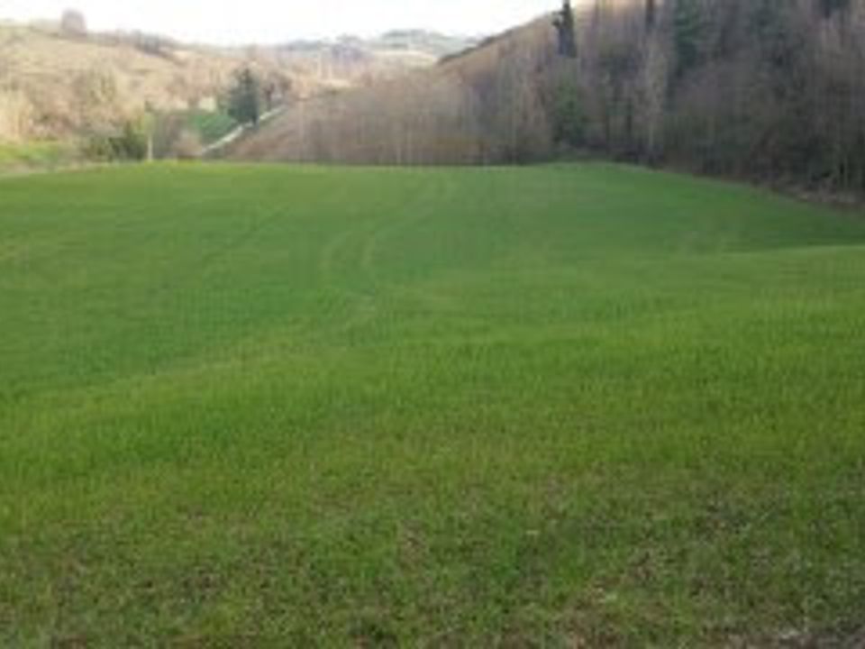 Erhvervsejendom i Mondavio, Pesaro and Urbino - foto 1