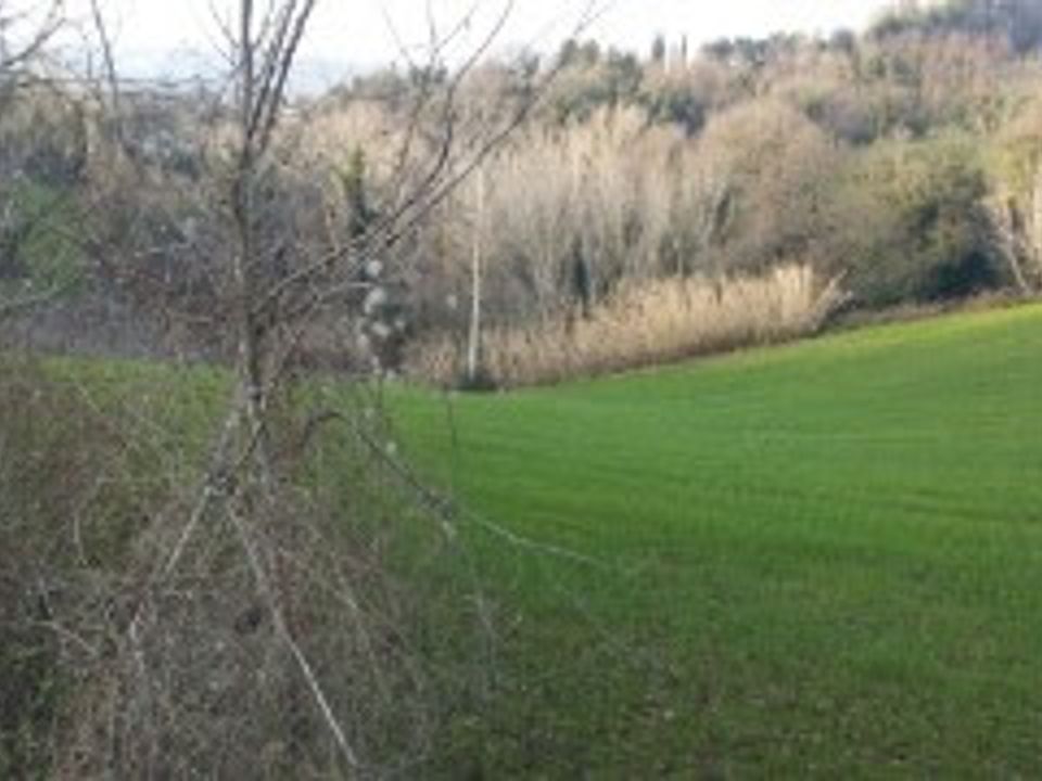 Erhvervsejendom i Mondavio, Pesaro and Urbino - foto 4