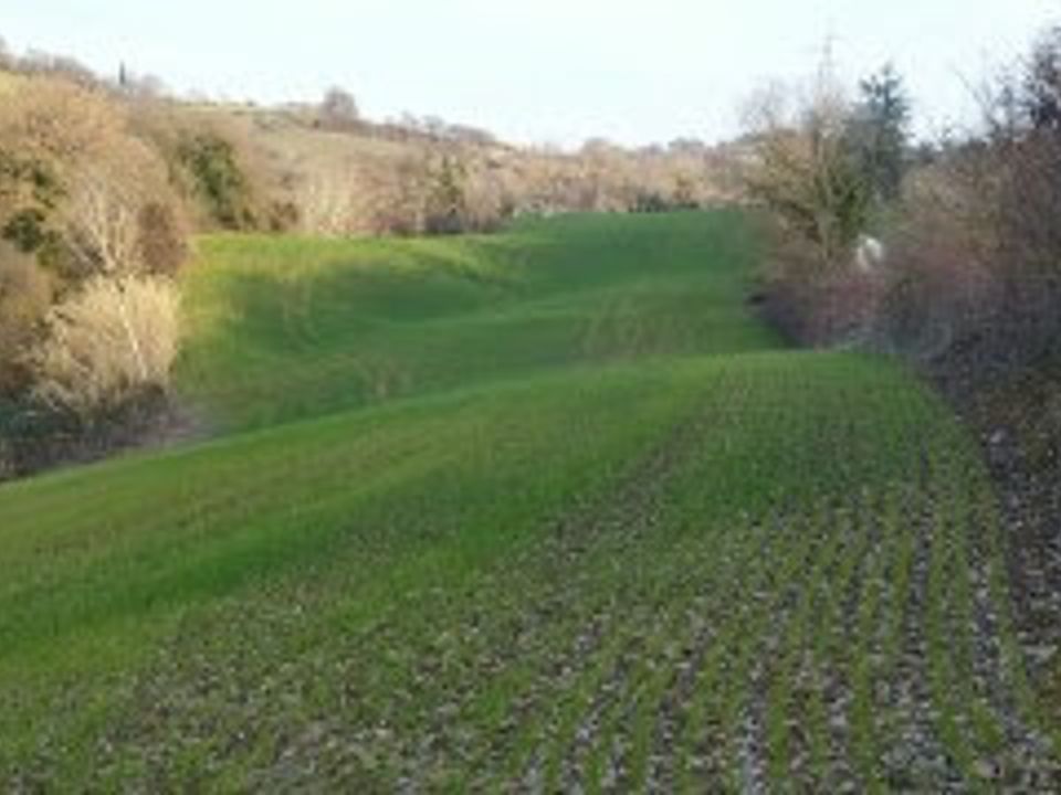 Erhvervsejendom i Mondavio, Pesaro and Urbino - foto 5