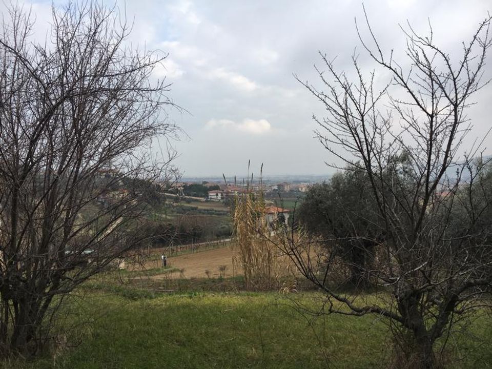 Tomt i Monteprandone, Ascoli Piceno - bilde 2