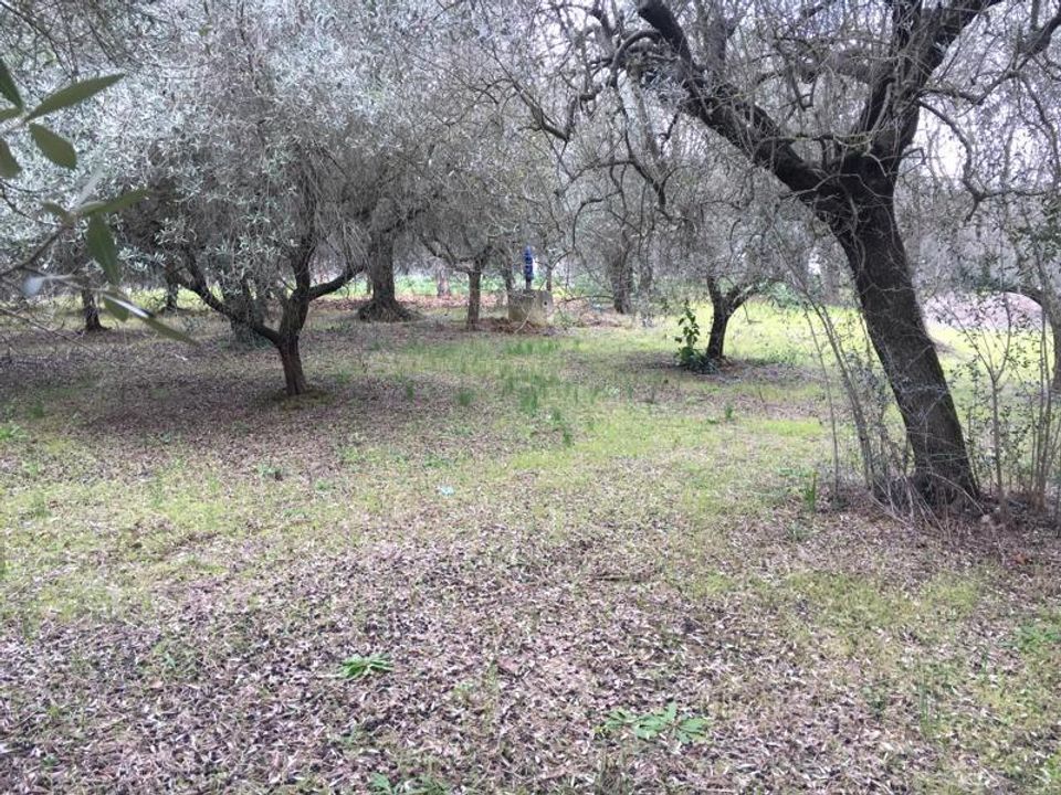 Tomt i Monteprandone, Ascoli Piceno - bilde 4