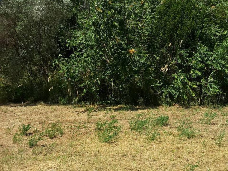 Villa i Cupra Marittima, Ascoli Piceno - foto 5