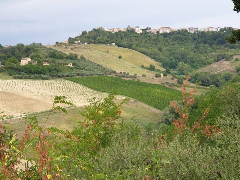 Erhvervsejendom i Carassai, Ascoli Piceno - foto 2
