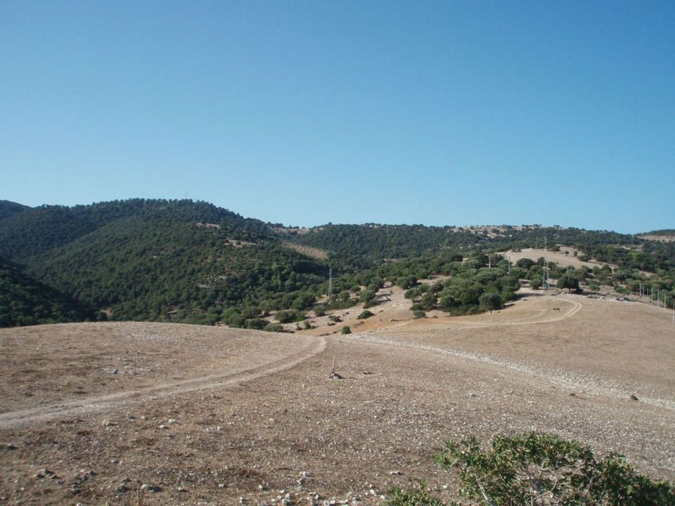 Erhvervsejendom i Mattinata, Foggia - foto 4