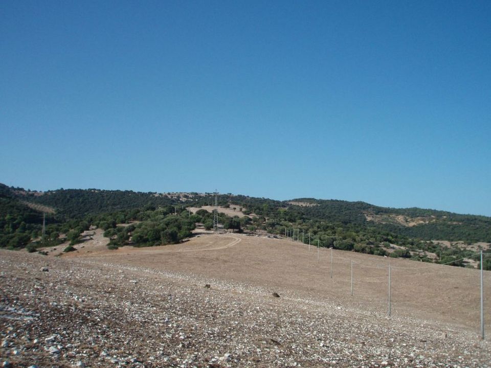 Erhvervsejendom i Mattinata, Foggia - foto 5