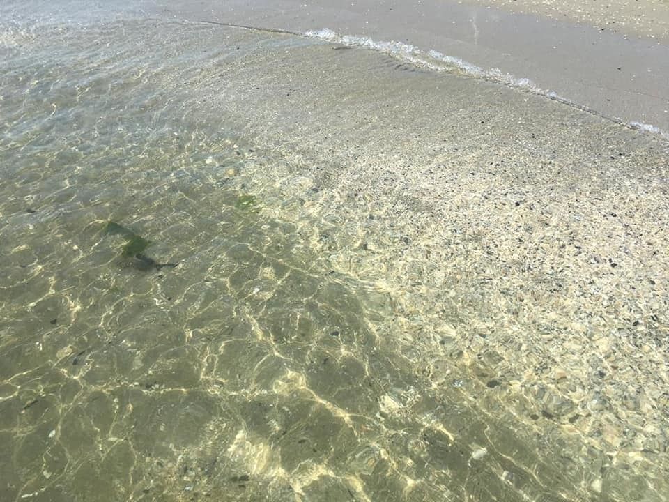 Erhvervsejendom i Comacchio, Ferrara - foto 4