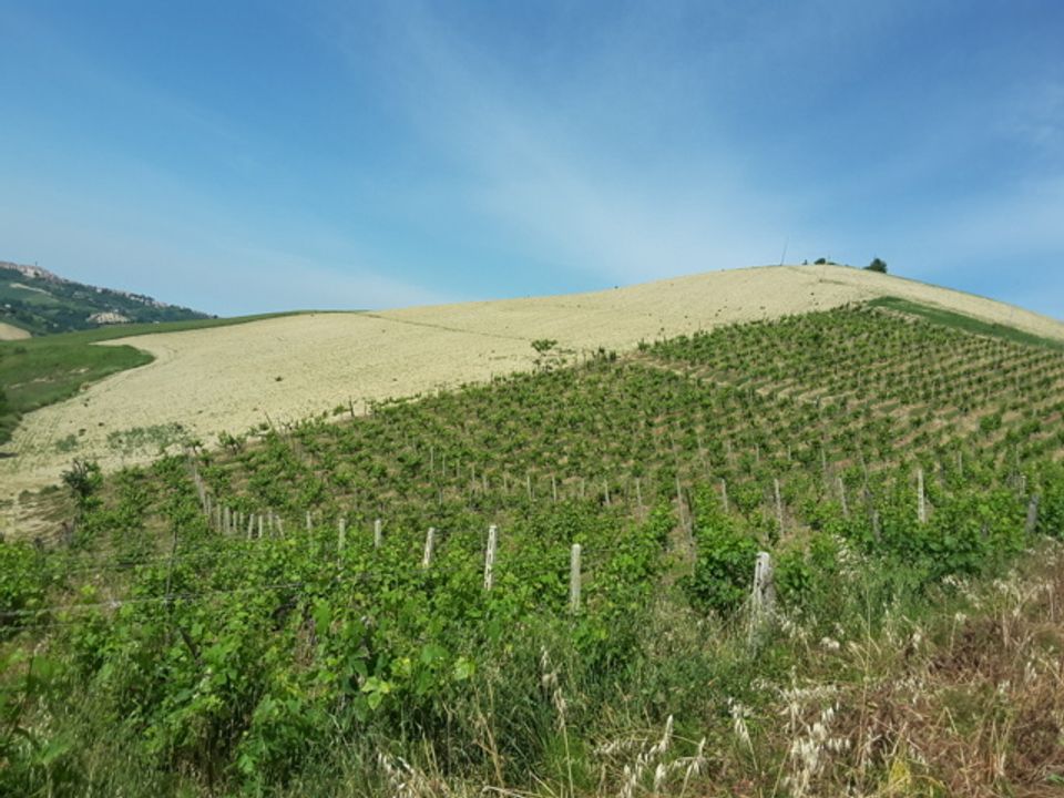 Villa i Carassai, Ascoli Piceno - foto 3