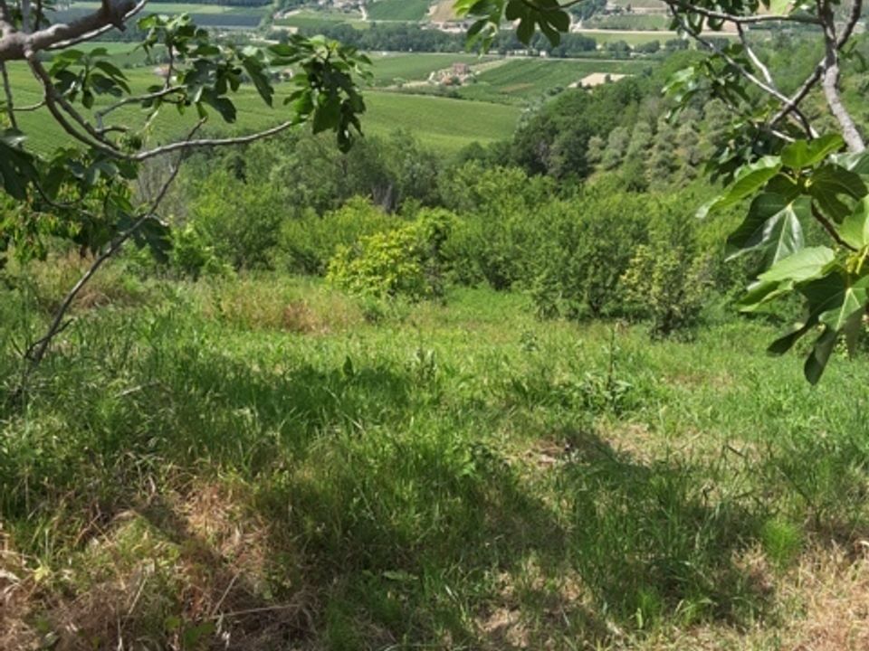 Villa i Carassai, Ascoli Piceno - foto 5