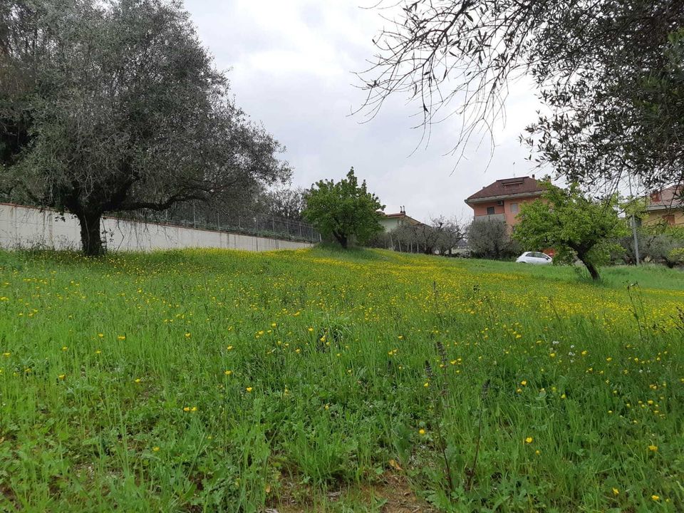 Helårsgrund i Appignano del Tronto, Ascoli Piceno - foto 5