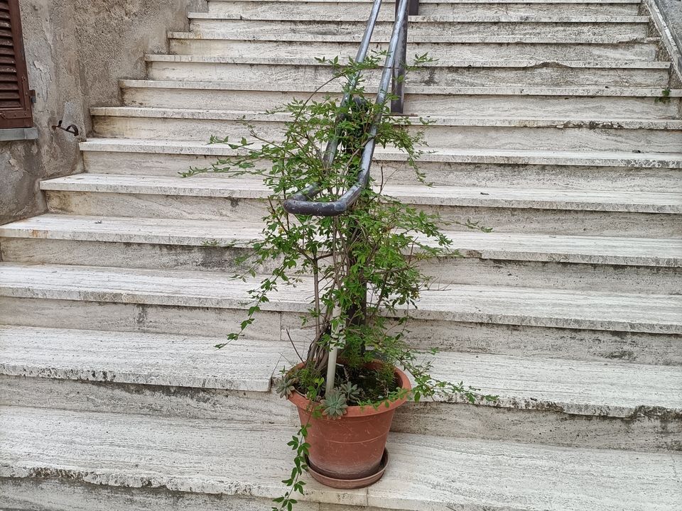 Villa i Monsampolo del Tronto, Ascoli Piceno - foto 5