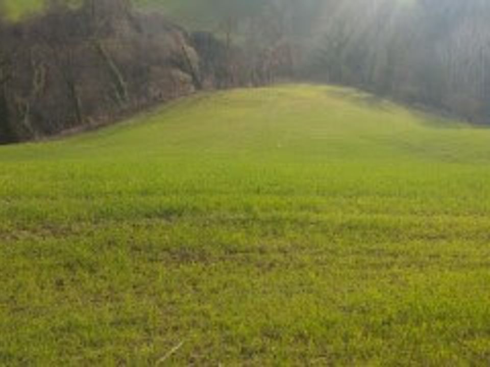 Villa i Mondavio, Pesaro and Urbino - foto 2