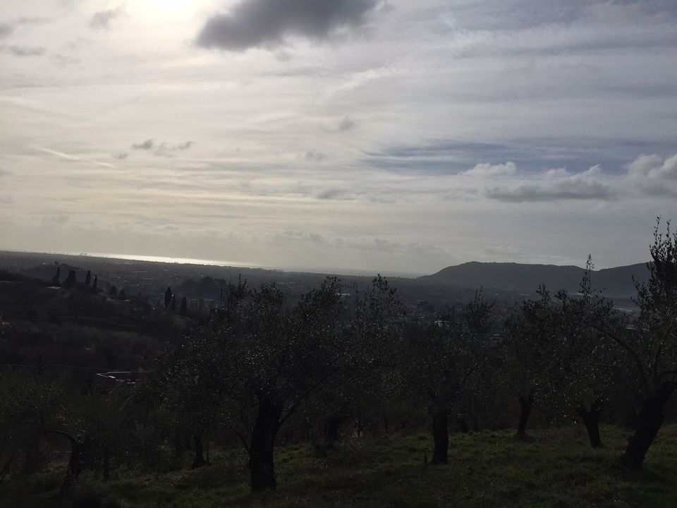 Villa i Castelnuovo Magra, La Spezia - foto 4