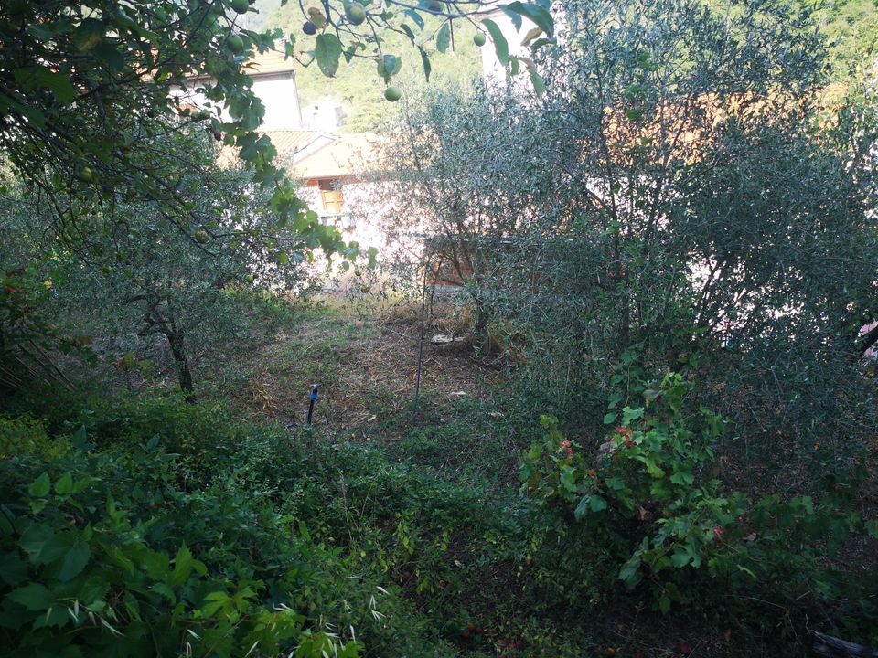 Villa i Luni, La Spezia - foto 2