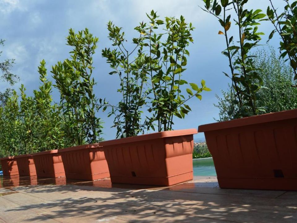 Villa i Castelnuovo Magra, La Spezia - foto 4