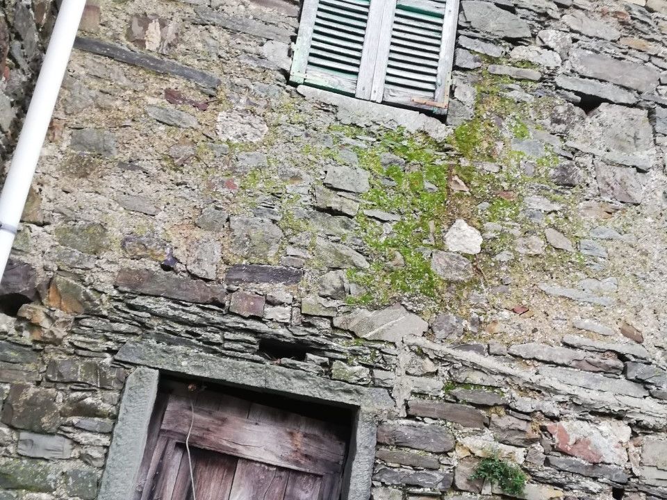 Byhus i Zeri, Massa and Carrara - foto 3