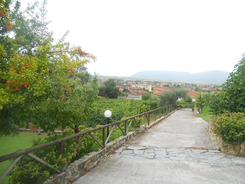 Villa i Castelnuovo Magra, La Spezia - foto 4