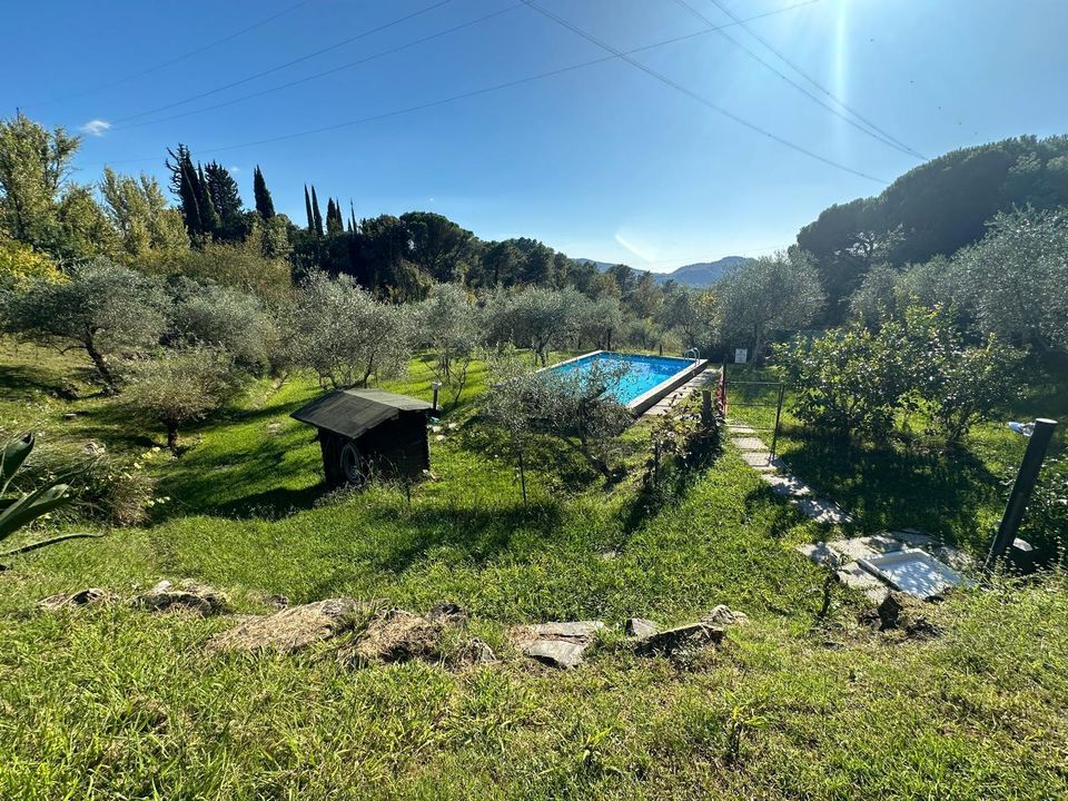 Villa i Sarzana, La Spezia - bilde 1