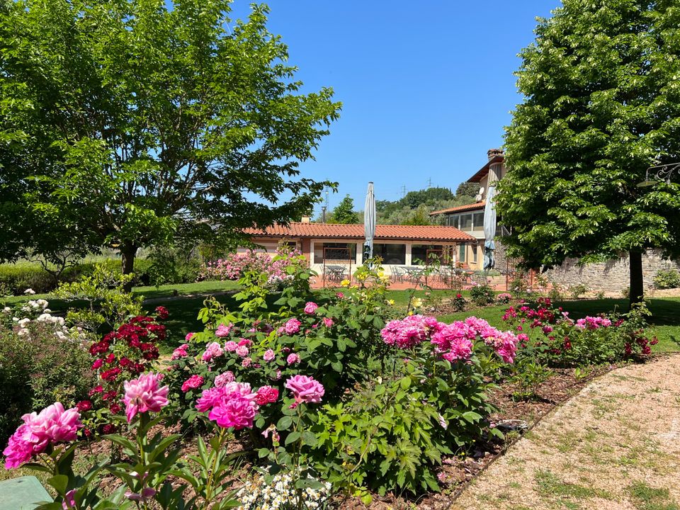 Erhvervsejendom i Castelnuovo Magra, La Spezia - foto 2
