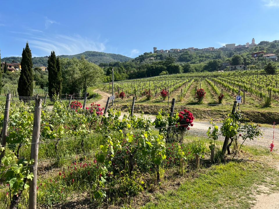 Erhvervsejendom i Castelnuovo Magra, La Spezia - foto 4