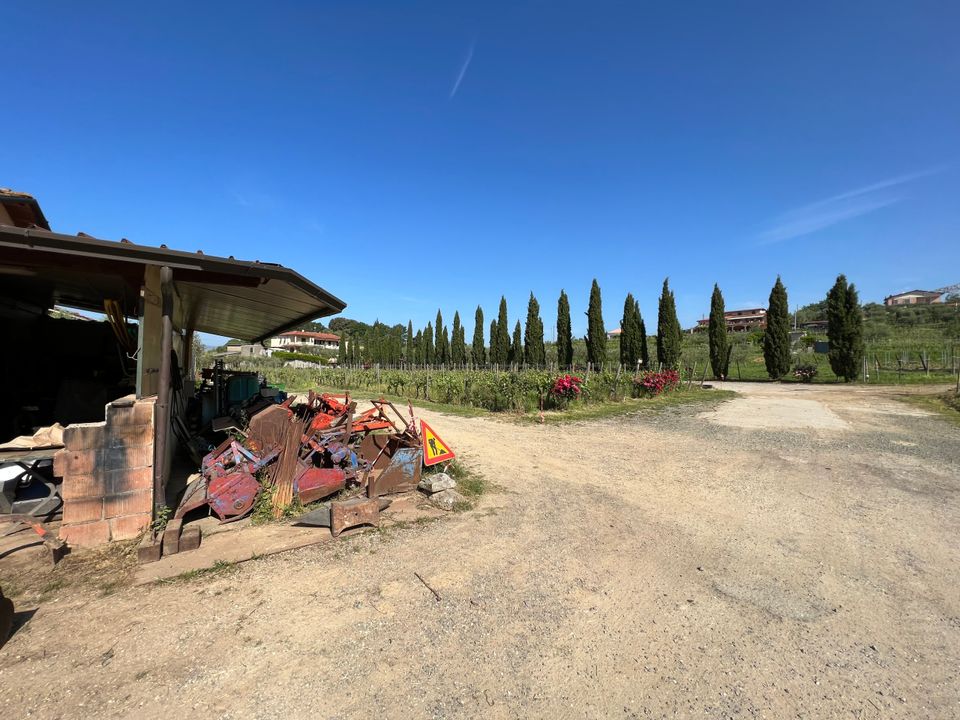 Erhvervsejendom i Castelnuovo Magra, La Spezia - foto 5