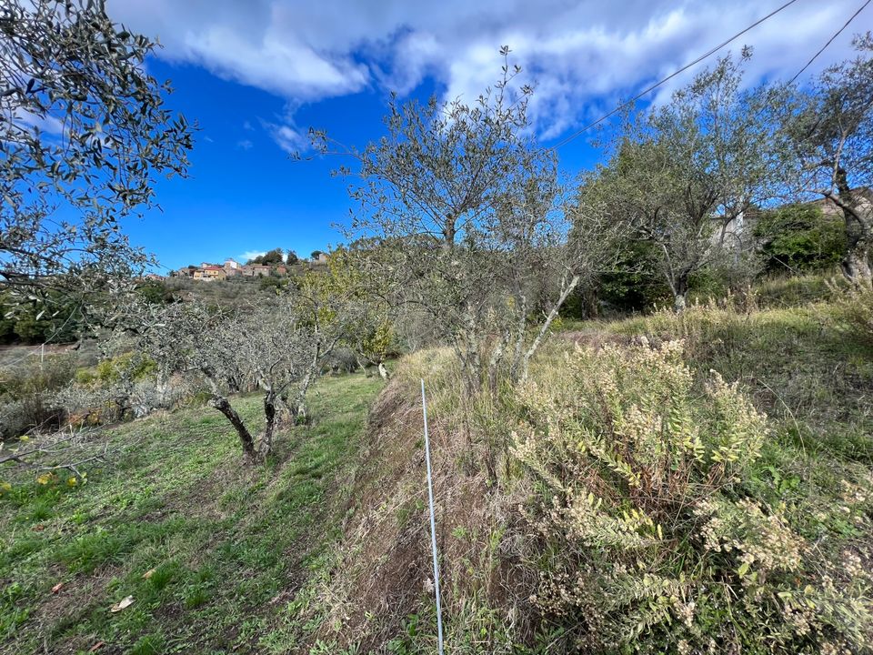 Villa i Fosdinovo, Massa and Carrara - foto 2