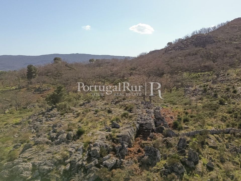 Granja a Castelo de Vide, Portalegre - foto 4