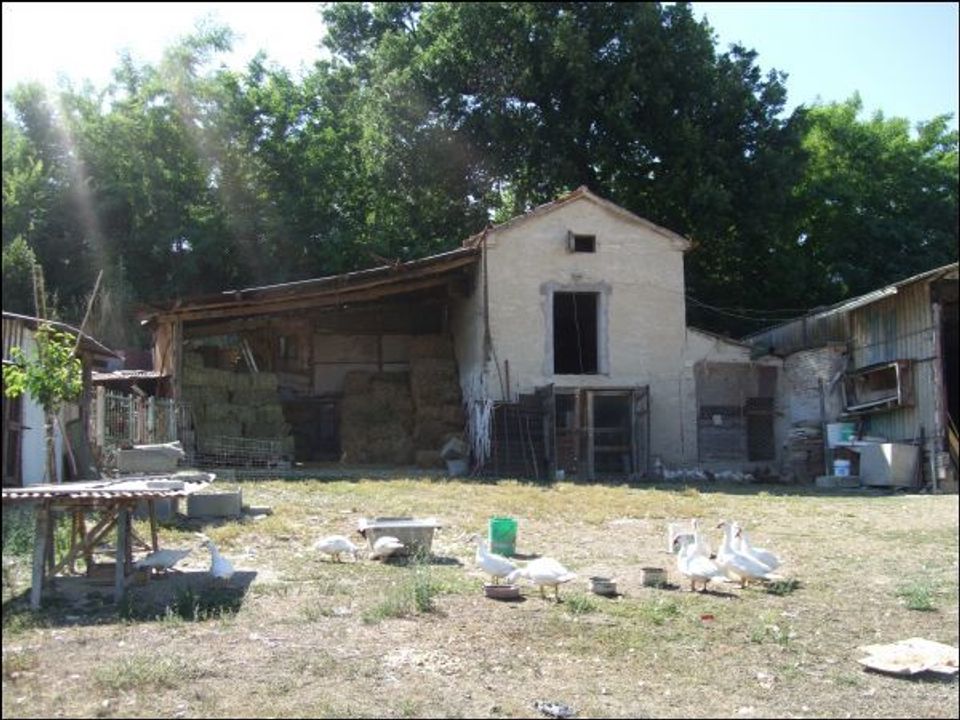Villa i Jesi, Ancona - foto 4