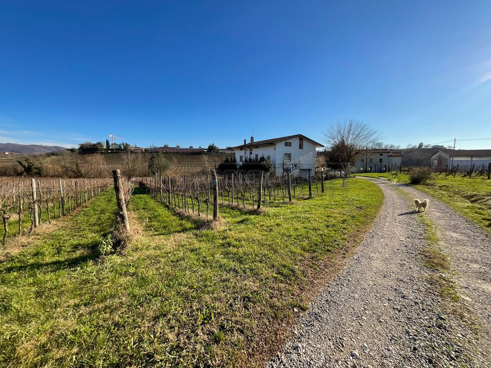 Villa i Cividale del Friuli, Udine - foto 5