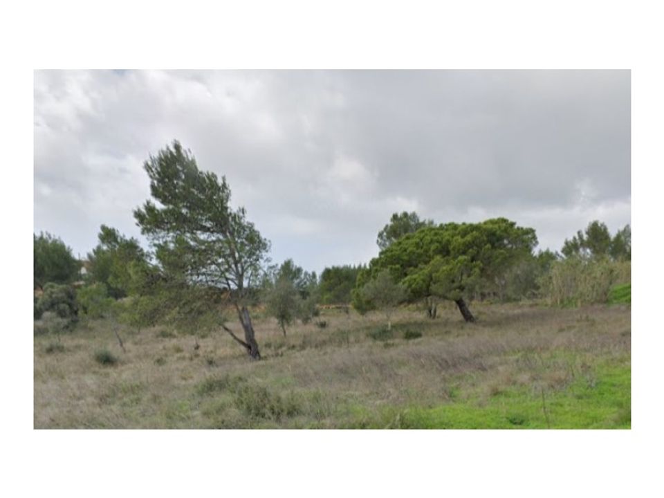 Terra a Alcabideche, Lisbon - foto 3