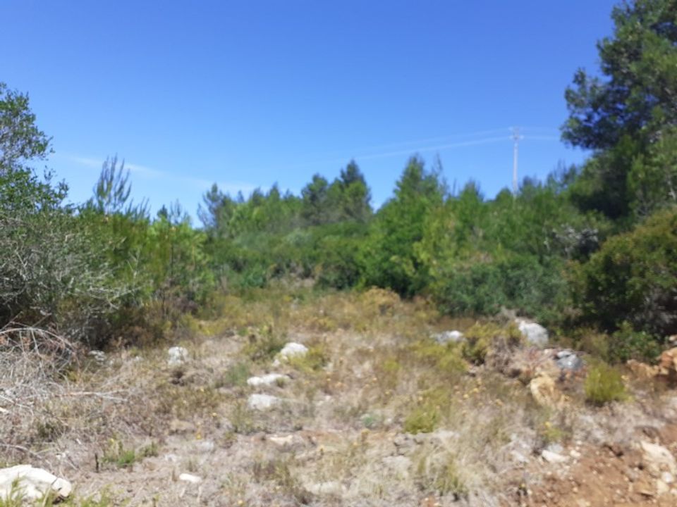 Terra a Alcabideche, Lisbon - foto 4