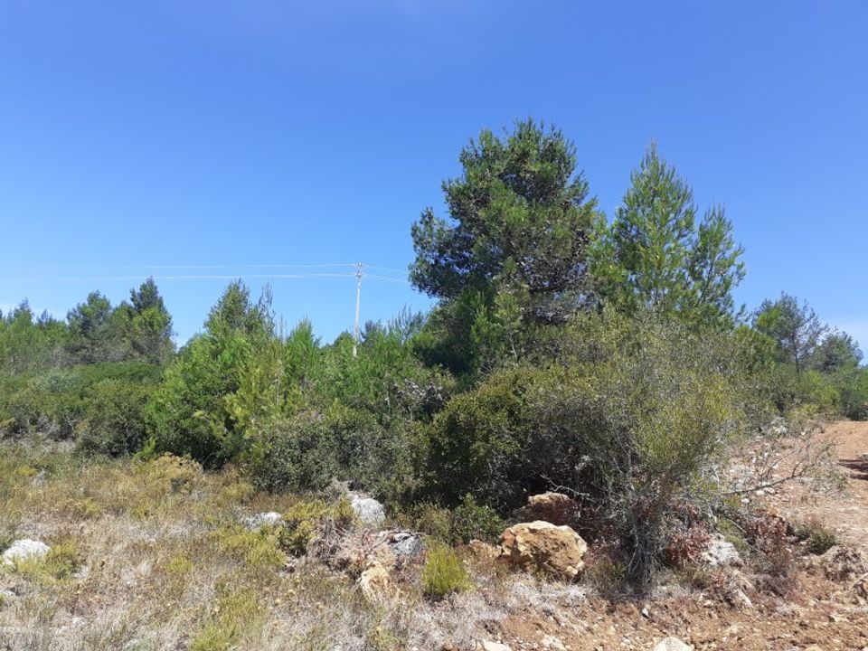 Terra a Alcabideche, Lisbon - foto 5