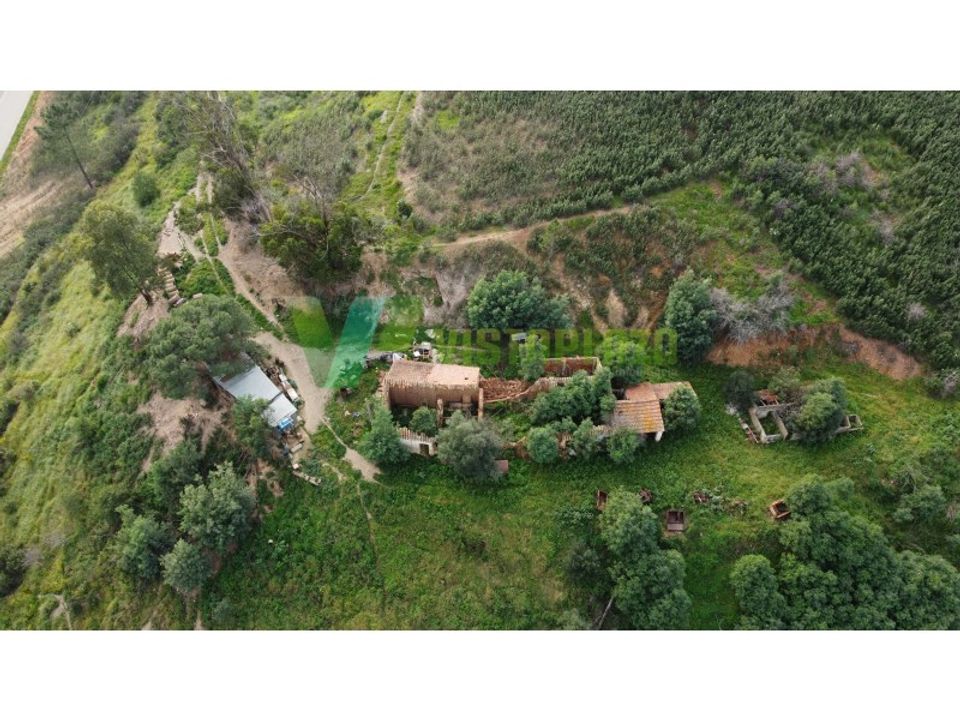 Farm i Monchique, Faro - foto 5
