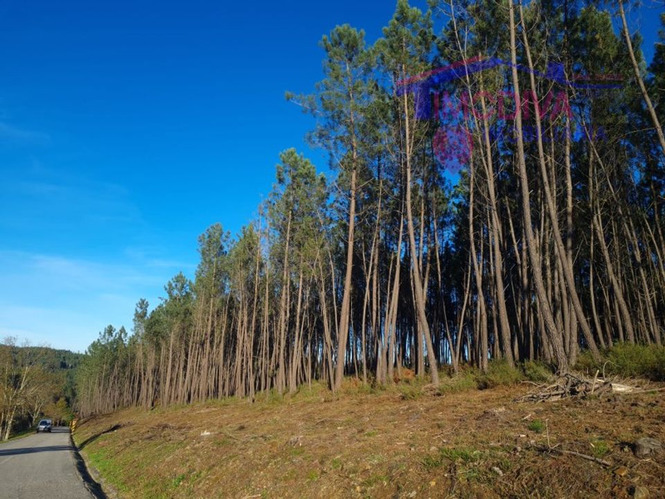 Helårsgrund i Pedrogao Grande, Leiria - foto 2