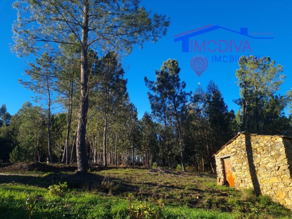 Helårsgrund i Pedrogao Grande, Leiria - foto 3