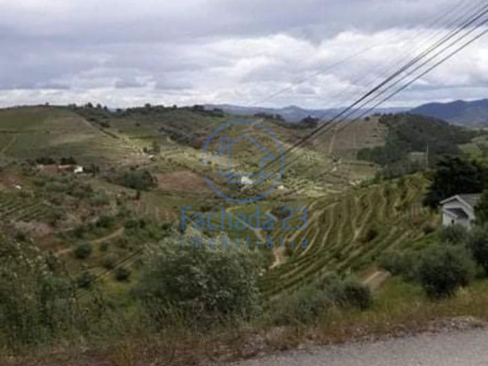 Willa: Sabrosa, Vila Real – zdjęcie 3