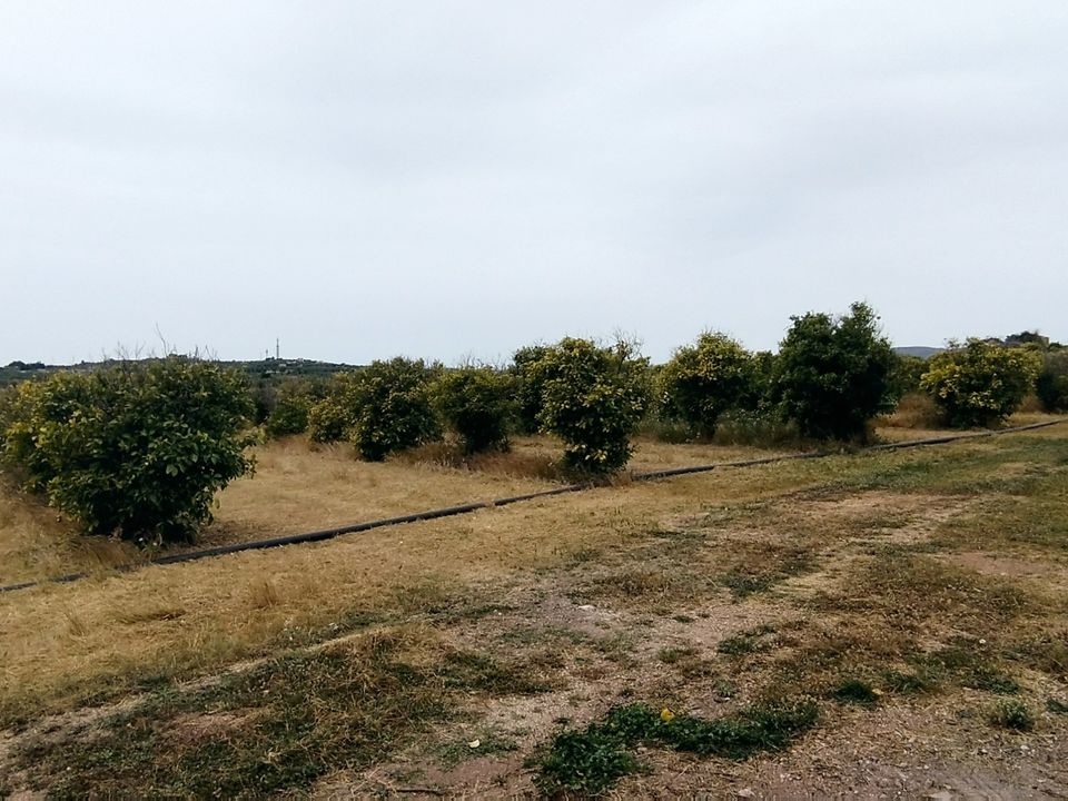 Erhvervsejendom i Noto, Siracusa - foto 4