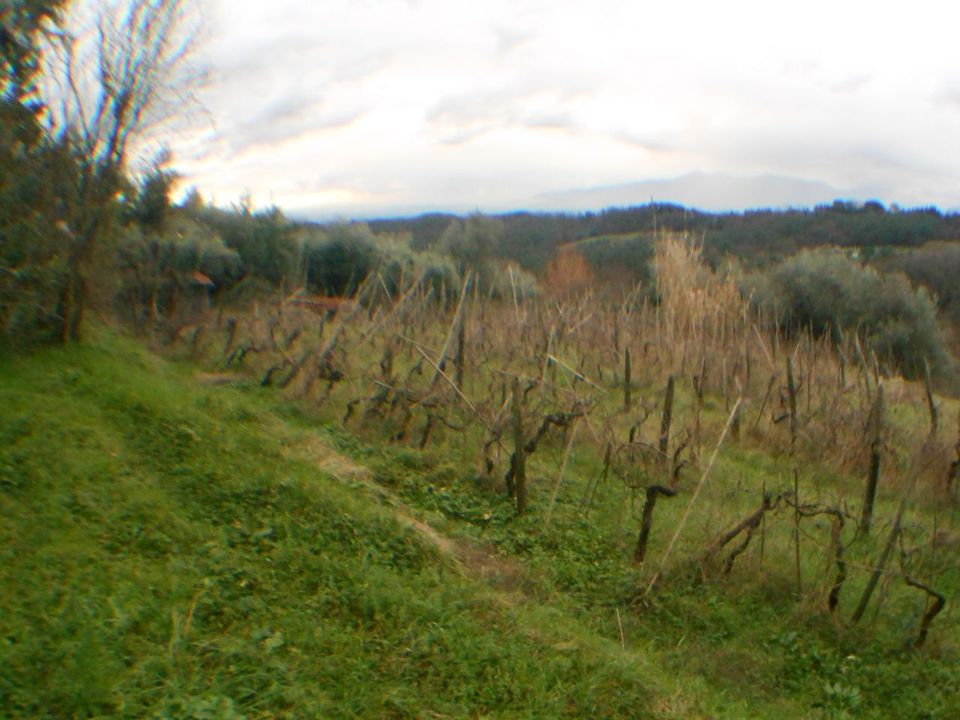 Villa i Lucca, Lucca - foto 4